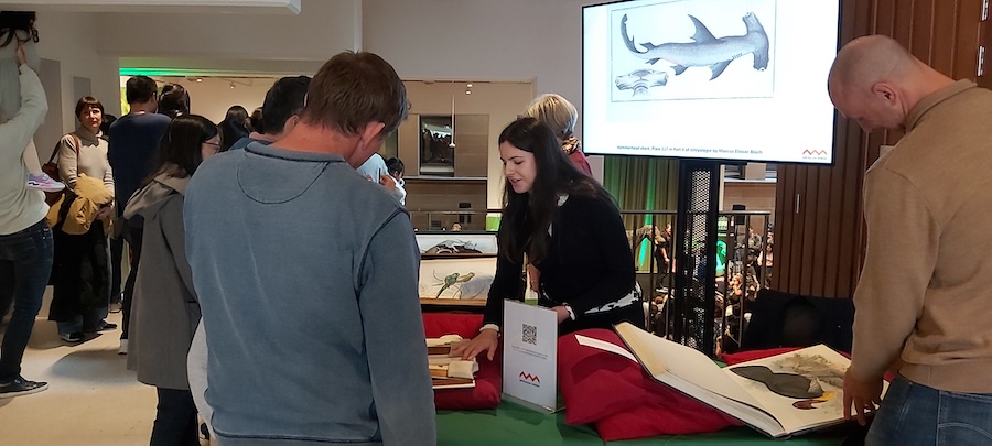 People looking at exhibit