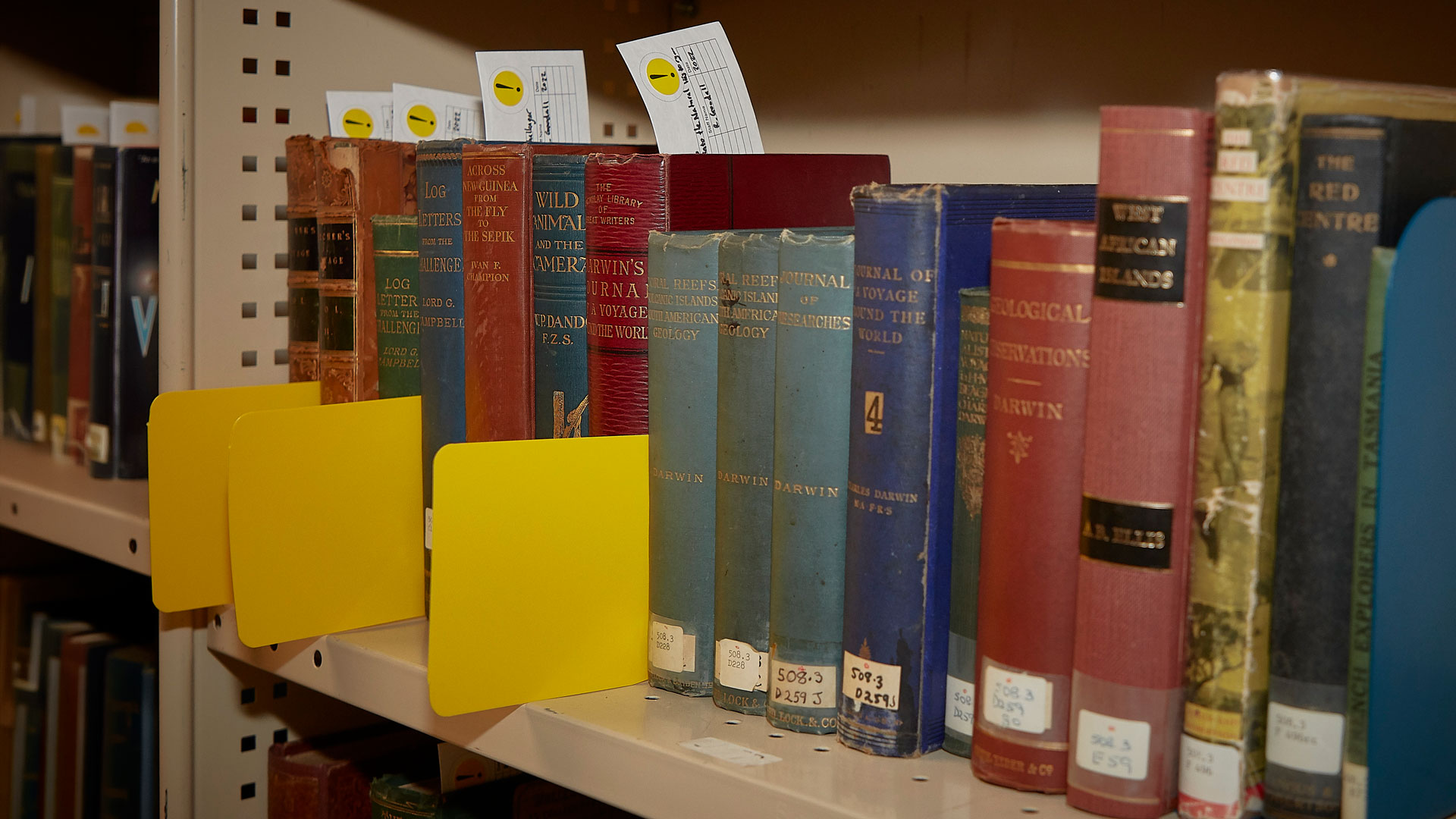 Row of vintage hardcover books on a library shelf with yellow dividers and catalogue cards