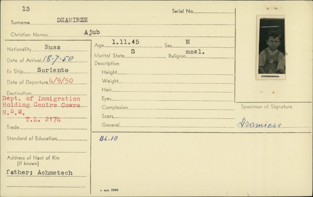 Immigration identification card for Ajub Dzamirze, a Russian-born child who arrived in Australia on the ship Soriento on 18 July 1950. The card records his date of birth as 1 November 1945, marital status as single, and religion as Muslim. A small black-and-white portrait photograph of a young boy is attached on the right.